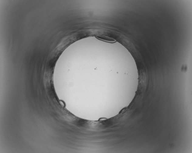 X0000111250333200907161411