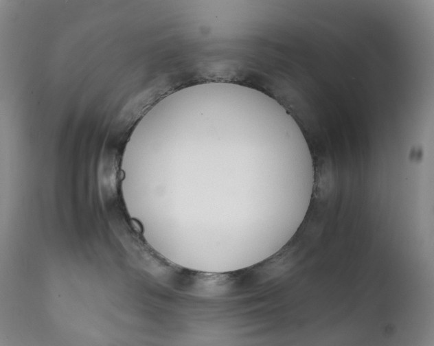 X0000111250334200907161411