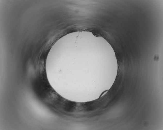 X0000111250335200907161411