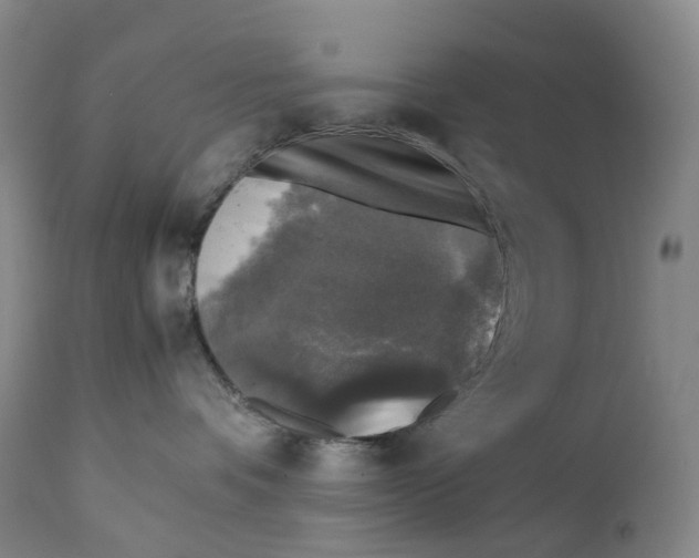 X0000111250336200907161411