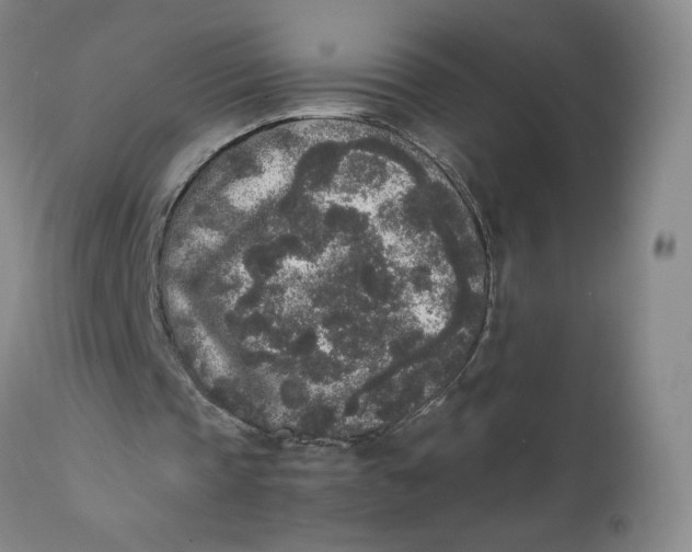 X0000111250337200907161411