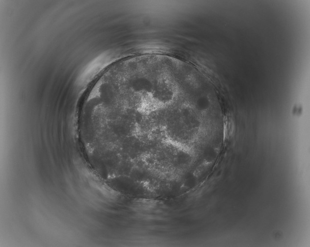 X0000111250339200907161411