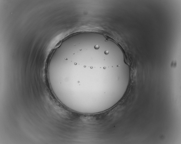 X0000111250340200907161411