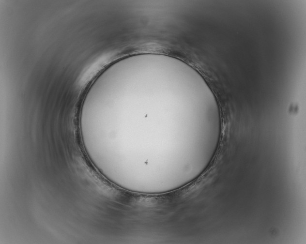 X0000111250341200907161411