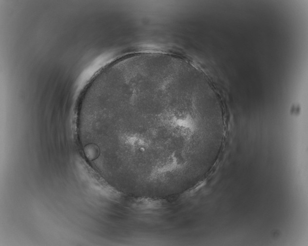 X0000111250343200907161411