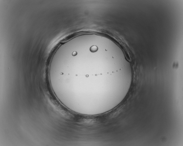 X0000111250344200907161411