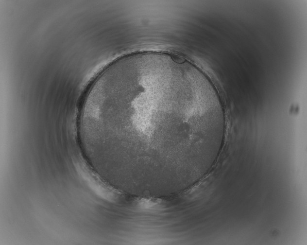 X0000111250346200907161411