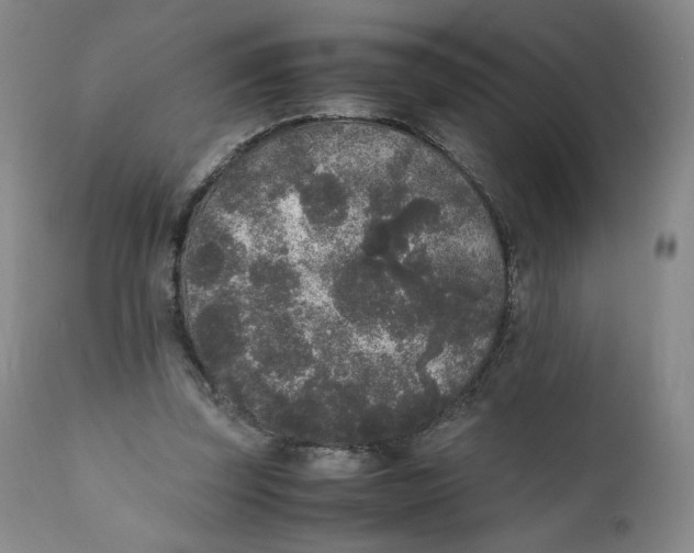 X0000111250347200907161411