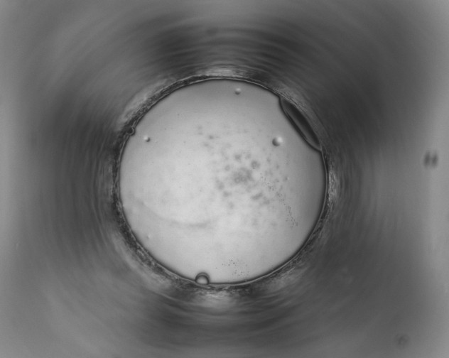 X0000111250349200907161411