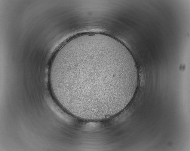 X0000111250350200907161411