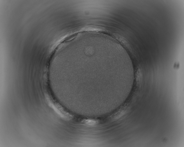 X0000111250352200907161411