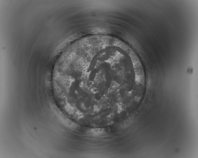 X0000111250353200907161411