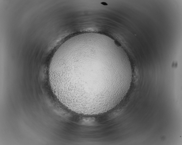 X0000111250355200907161411