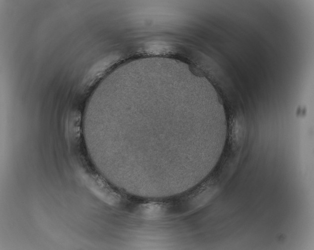 X0000111250356200907161411