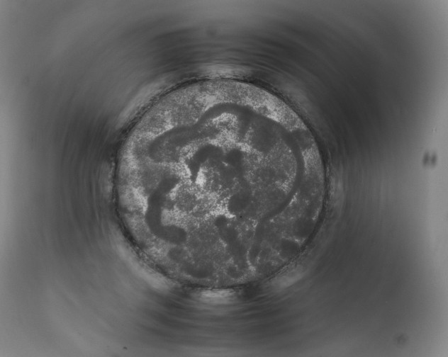 X0000111250357200907161411