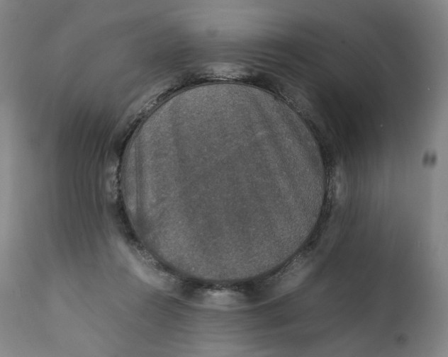 X0000111250360200907161411