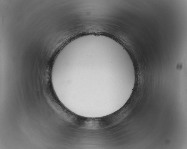 X0000111250362200907161411