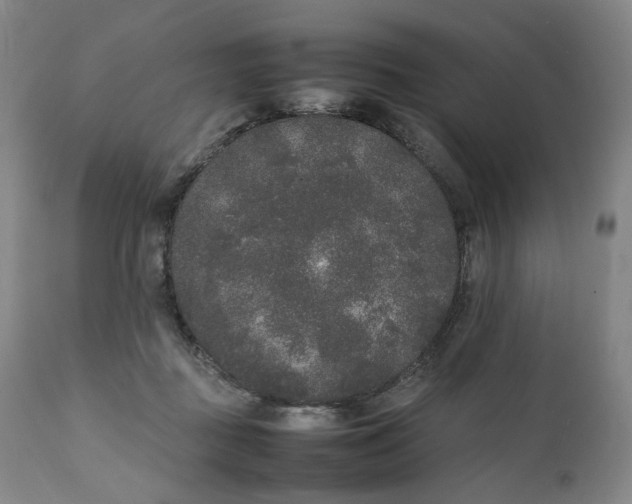 X0000111250363200907161411