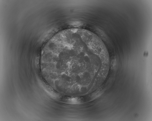 X0000111250365200907161411