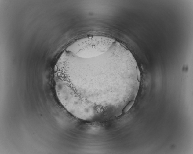 X0000111250370200907161411