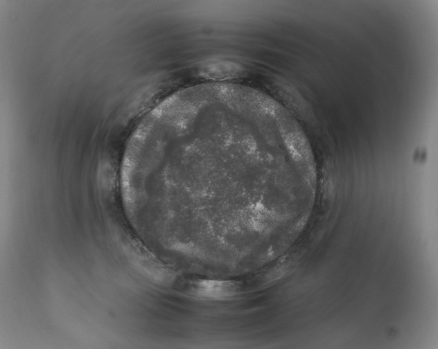 X0000111250371200907161411