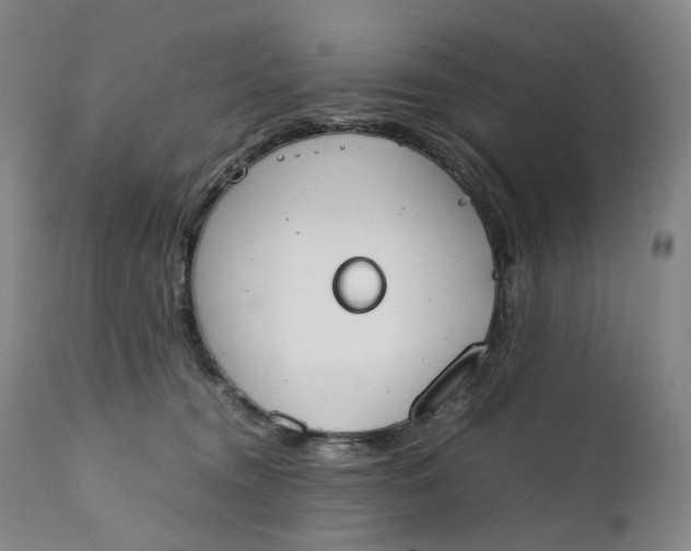 X0000111250372200907161411