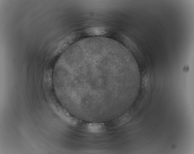 X0000111250373200907161411