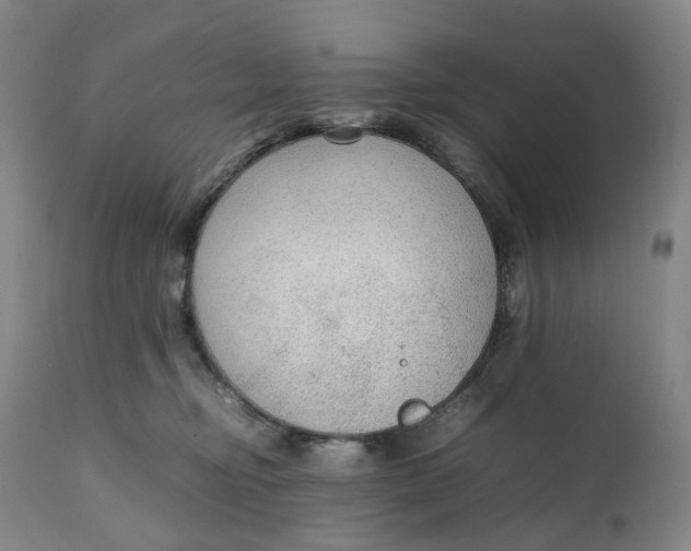 X0000111250374200907161411