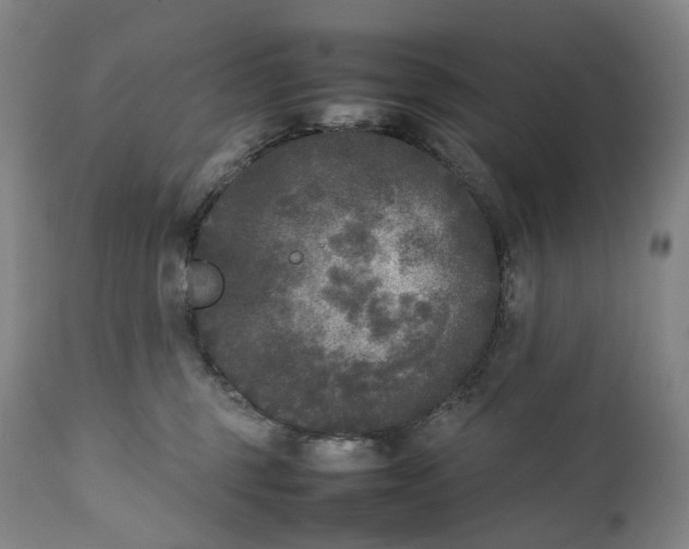 X0000111250375200907161411