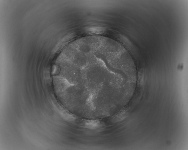 X0000111250377200907161411