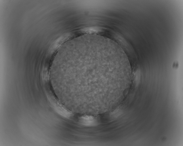 X0000111250381200907161411