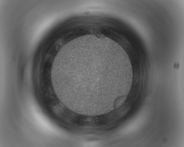 X0000111250383200907161411