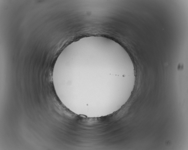 X0000111250384200907161411