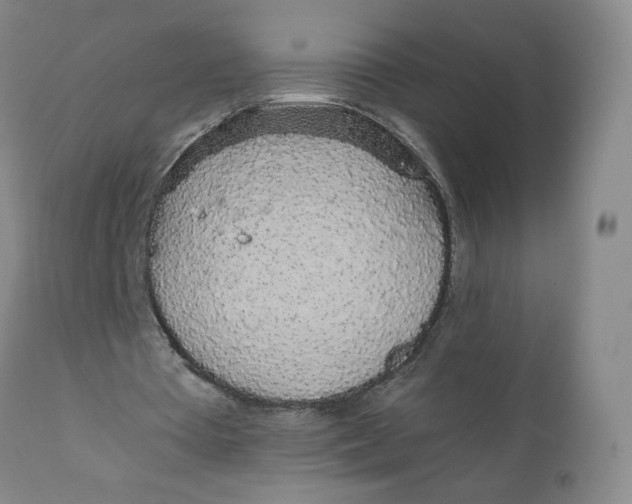 X0000111250385200907161411