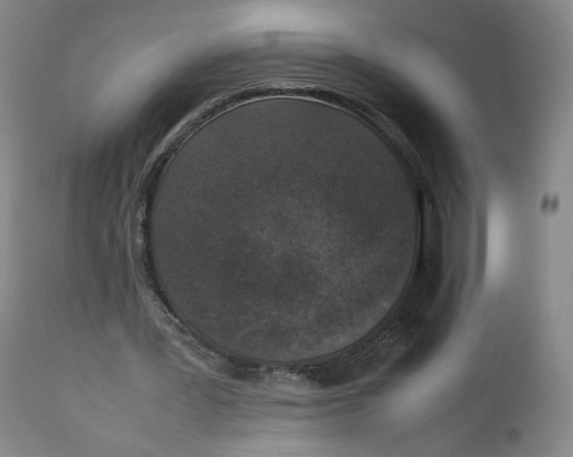 X0000111250387200907161411