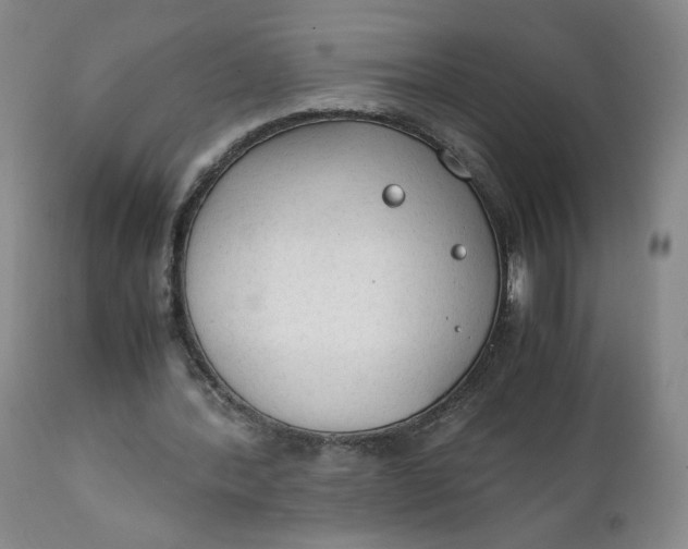 X0000111250388200907161411