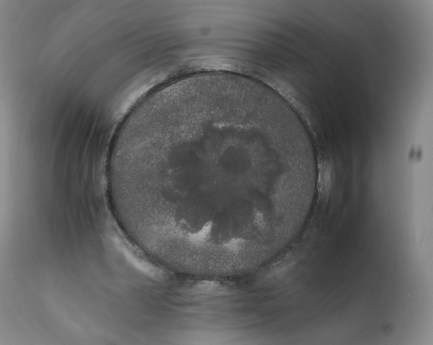 X0000111250390200907161411