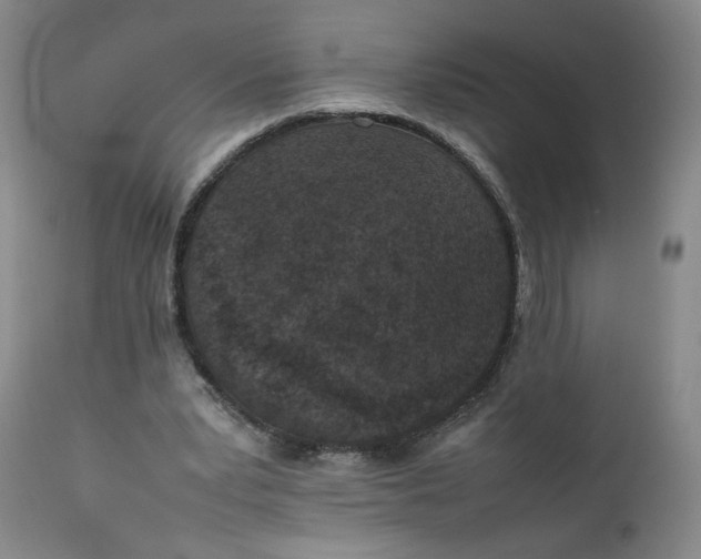 X0000111250391200907161411