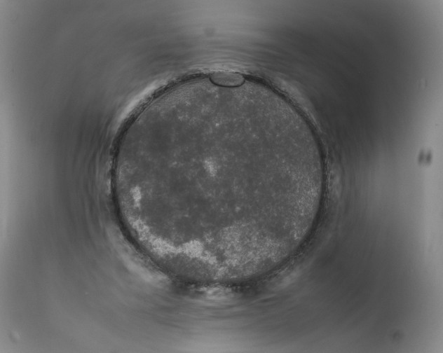 X0000111250395200907161411