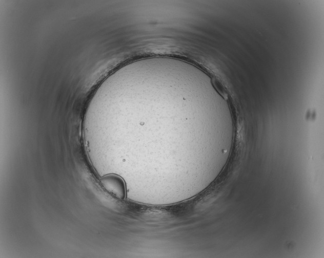 X0000111250397200907161411