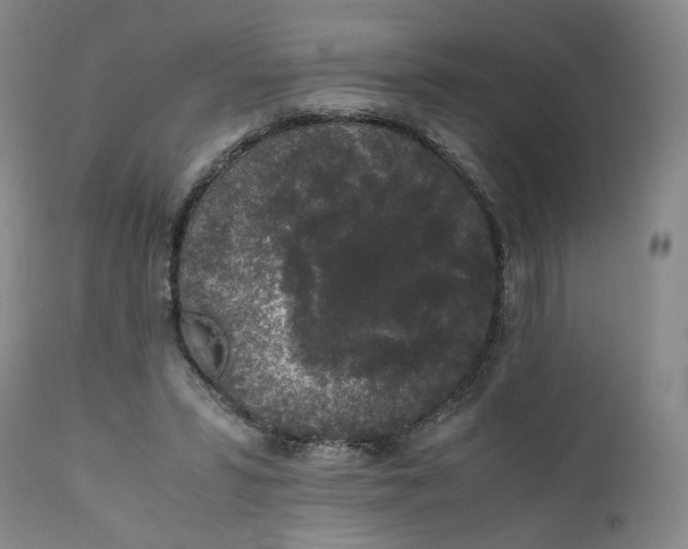 X0000111250399200907161411