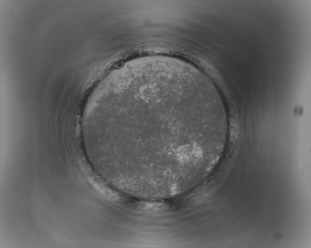 X0000111250401200907161411