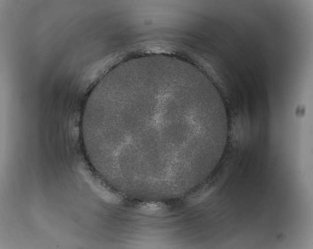 X0000111250402200907161410