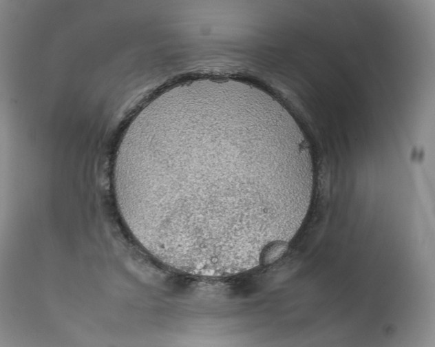 X0000111250403200907161410