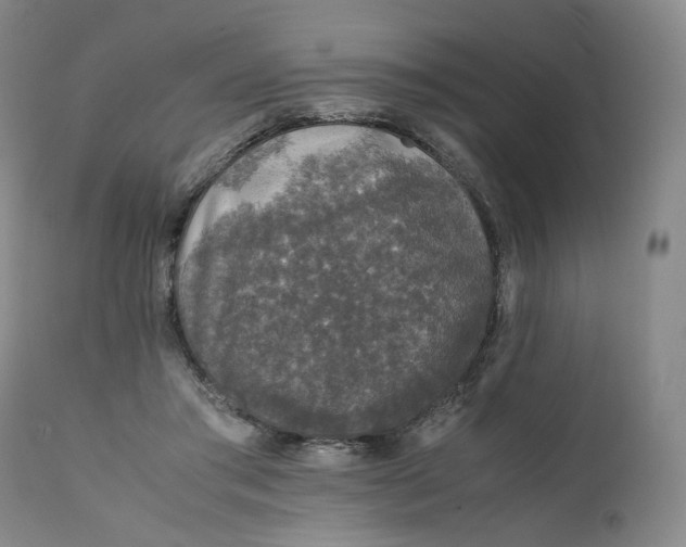 X0000111250405200907161410