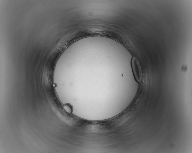 X0000111250408200907161410