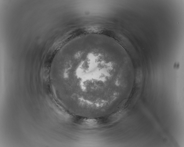 X0000111250409200907161410