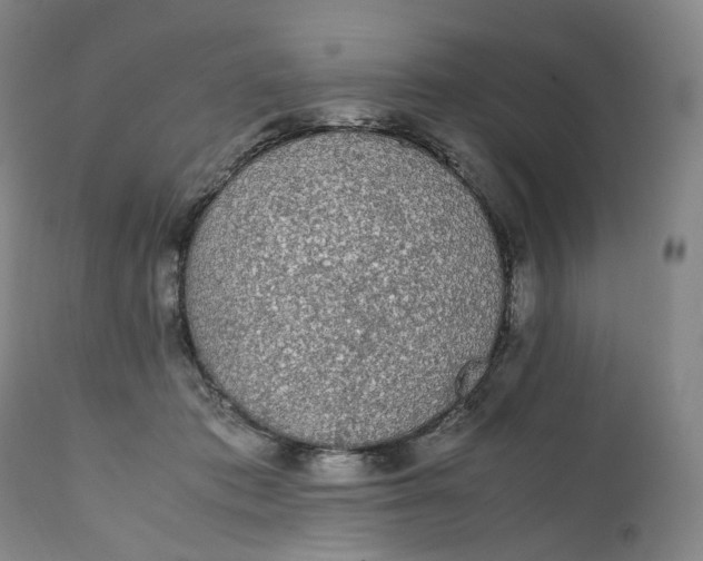 X0000111250413200907161410