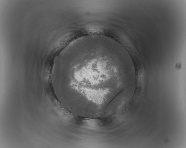 X0000111250417200907161410