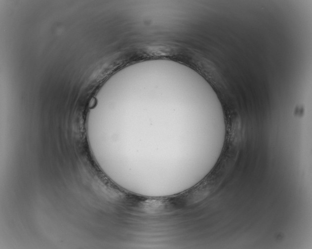 X0000111250418200907161410